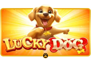 Người dùng Việt Nam xem bóng đá và chơi game trong sảnh sh et
